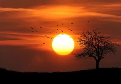 Kuzey Yarım Küre’de Kış Başlıyor