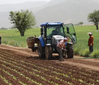 Mazot ve Gübre Desteği Değişti