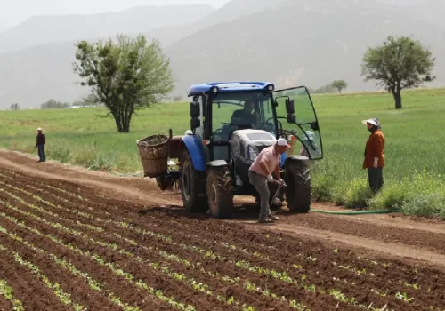 Mazot ve Gübre Desteği Değişti