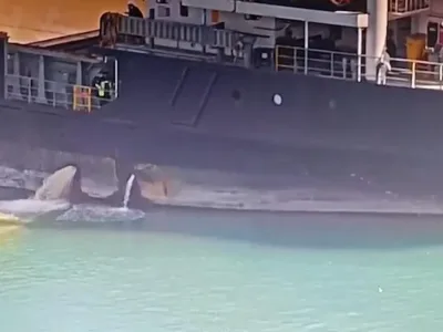 Mersin'de Denizi Kirleten Gemiye 13 Milyon TL Rekor Ceza