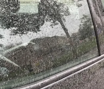 Meteoroloji'den Fırtına ve Toz Taşınımı Alarmı