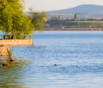 Mogan Gölü'nde Atık Su Skandalı