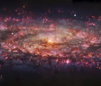 Montaj Teorisi Nedir