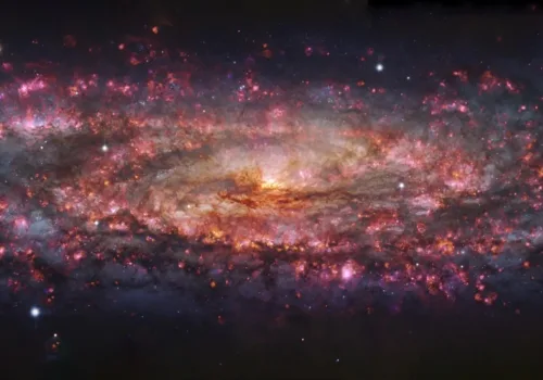 Montaj Teorisi Nedir