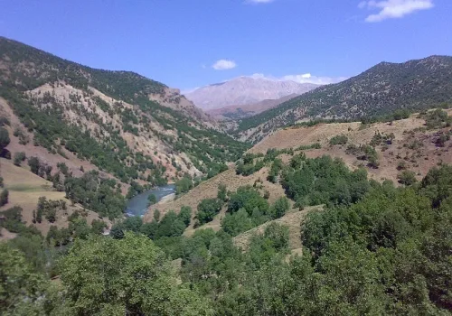 Munzur Vadisi Milli Parkı'nda Yaban Hayatı Tehdit Altında