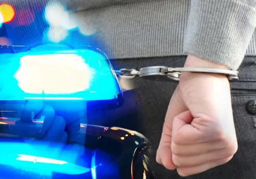 Okulları Hedef Gösteren 95 Kişi Yakalandı