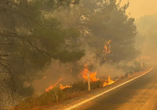 Orman Yangınlarında 12 Şüpheli Tutuklandı