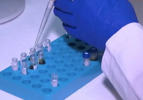 Pestisit Limitleri Yeniden Düzenlendi