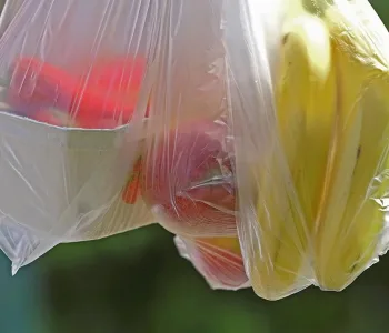 Plastik Poşet Uygulamasıyla 2,8 Milyon Ton Atık Engellendi