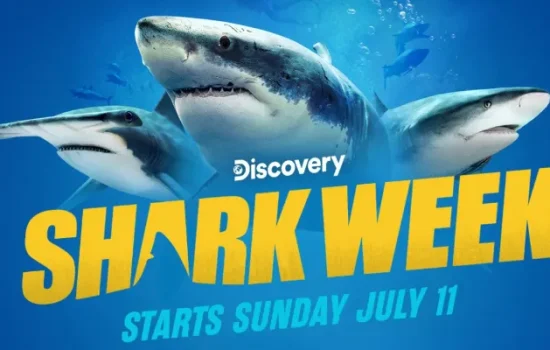 Shark Week 2025: Köpekbalıklarıyla Su Altı Dansı Başlıyor