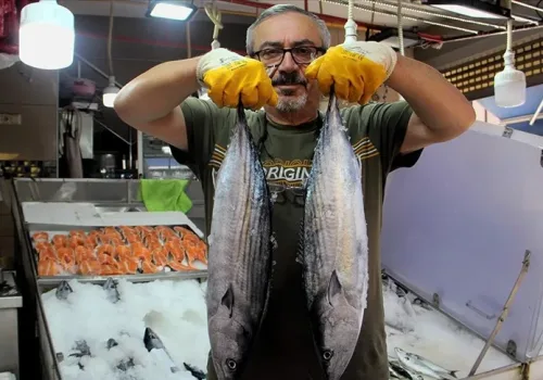 Sinop Balıkçıları Torikle Umutlandı