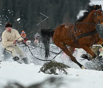 Skijoring Nedir, Nasıl Yapılır
