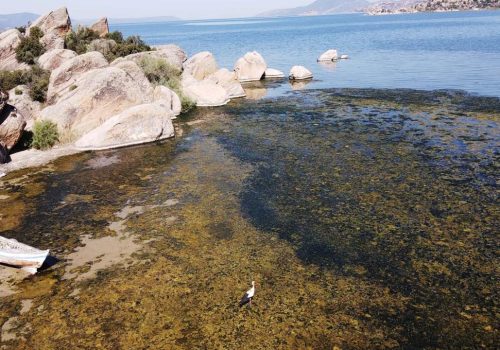 Su Çekildi, Bafa Gölü Kirlilikle Mücadele Ediyor