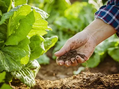Tarım Sezonunda Yağış Rekoru