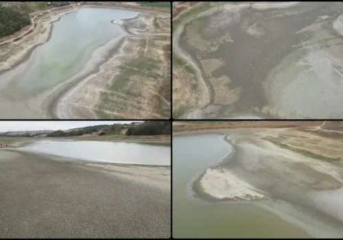 Tekirdağ Bıyıkali Göleti’nde Su Seviyesi Kritik Düzeyde