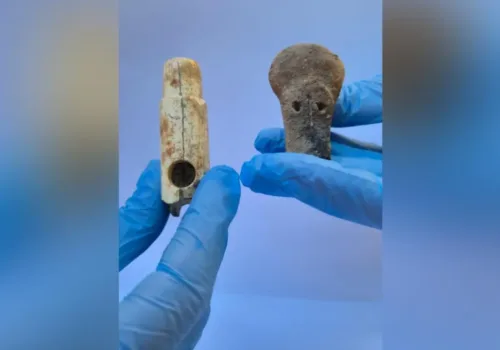 Troya'da Tarihi Keşif: 2800 Yıllık İlk Kemik Flüt Bulundu