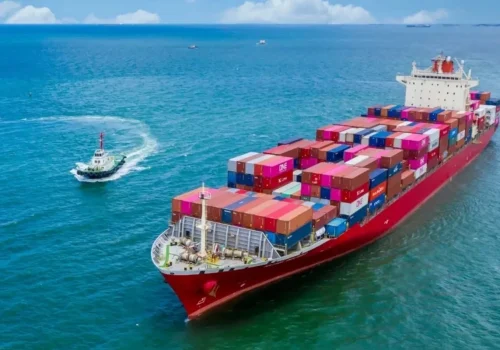 Türkiye Denizcilik Sektöründe Yükseliş: Tersane Sayısı, Gemi Siparişleri ve Yeni Zirve