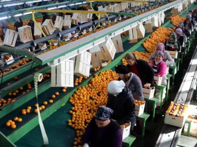 Türkiye İhracatında 9 Ayda 211 Milyar Dolar Rekoru