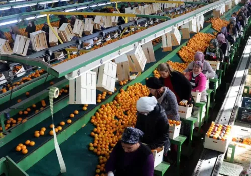 Türkiye İhracatında 9 Ayda 211 Milyar Dolar Rekoru