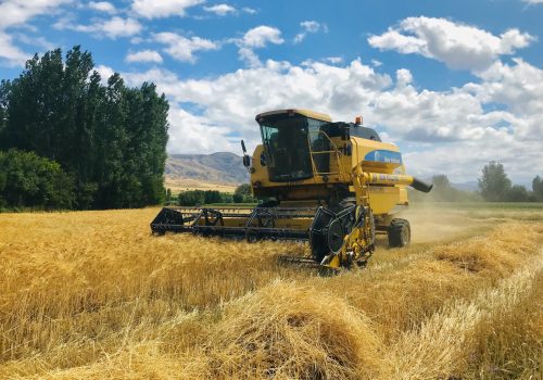 Türkiye Tarımında Rekor: 2024’te 74 Milyar USD’ye Ulaştı