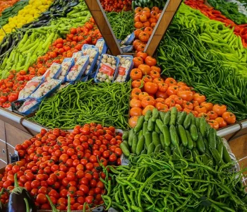 Türkiye Yaş Meyve Sebze İhracatında Rekor Kırdı
