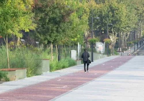 Türkiye Yeşil Kampüslerde Avrupa Zirvesinde