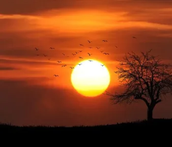 Türkiye’de İklim Değişiyor