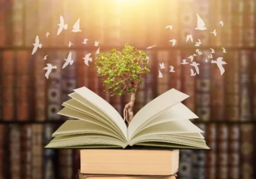 Türkiye’de Kitap Okuma Trendleri 2025: En Popüler Türler ve Yazarlar