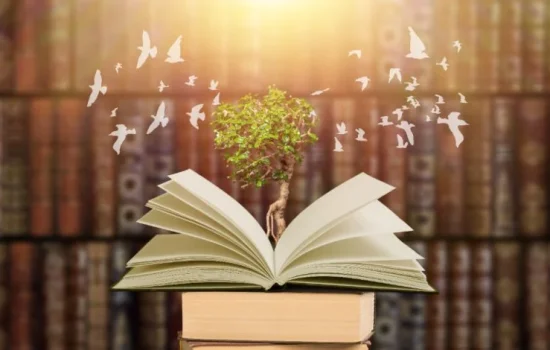 Türkiye’de Kitap Okuma Trendleri 2025: En Popüler Türler ve Yazarlar