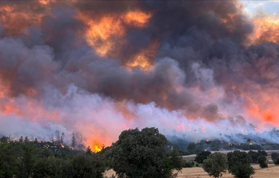 Türkiye'de Orman Yangınlarına Sıkı Takip: 44 Gözaltı, 10 Tutuklama