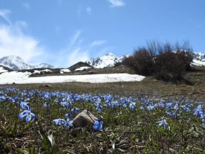 Türkiye'de Son 56 Yılın En Sıcak 3. Şubat Ayı Yaşandı