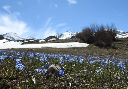 Türkiye'de Son 56 Yılın En Sıcak 3. Şubat Ayı Yaşandı