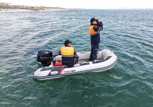 Van Gölü'nde İnci Kefali Göçü Başladı