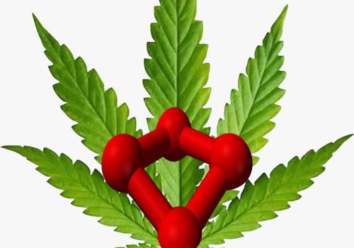 WhatsApp Image 2024-09-05 at 15.12.15 (1)