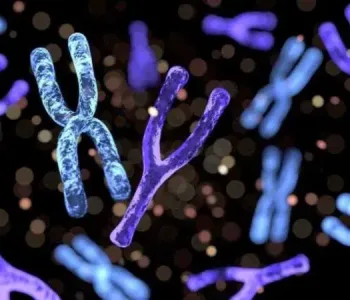 Y Kromozomu Dizilimi Kanser ve Kısırlığa Çözüm Olabilir