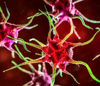 Yeni Pandemi Korkusu