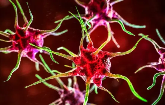 Yeni Pandemi Korkusu