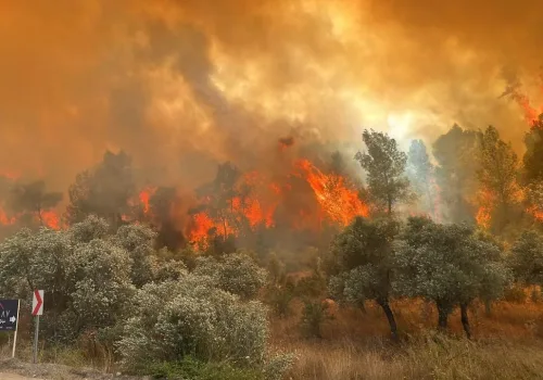 Orman Yangını Riski Eylül’e Kadar Sürecek